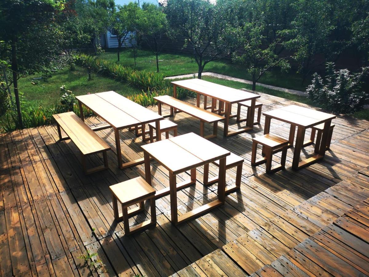 شقة Biolocalia House Dobrogea بالوتيشتي المظهر الخارجي الصورة