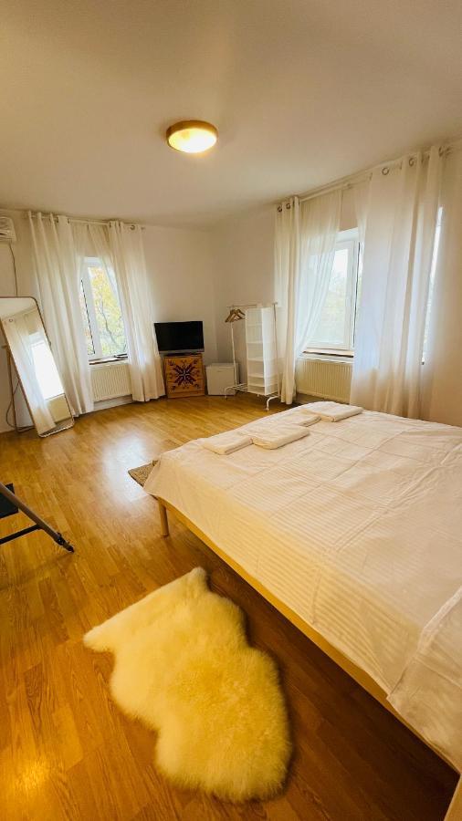 شقة Biolocalia House Dobrogea بالوتيشتي المظهر الخارجي الصورة