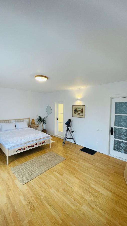 شقة Biolocalia House Dobrogea بالوتيشتي المظهر الخارجي الصورة