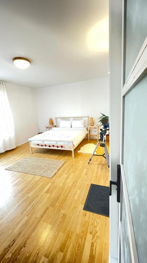 شقة Biolocalia House Dobrogea بالوتيشتي المظهر الخارجي الصورة